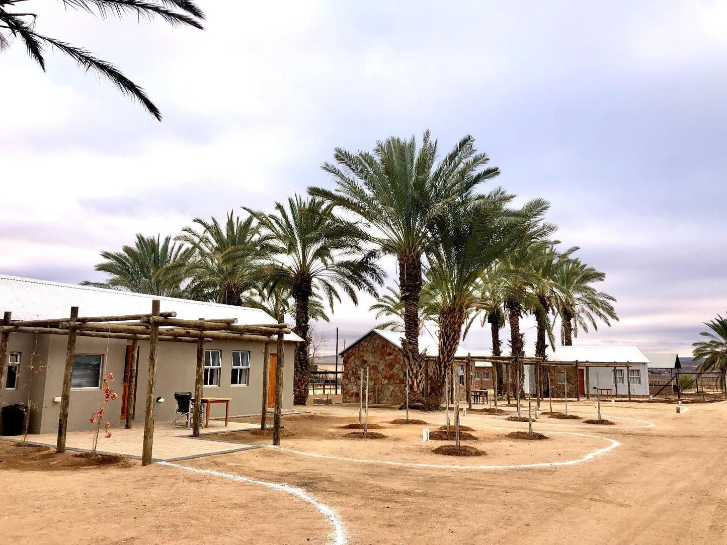 Gazelle Estate Kakamas Northern Cape South Africa Complementary Colors, Palm Tree, Plant, Nature, Wood