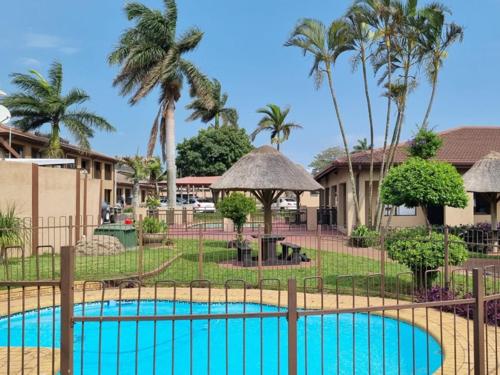 Gecko Inn Guesthouse, Palm Tree, Plant, Nature, Wood, Swimming Pool