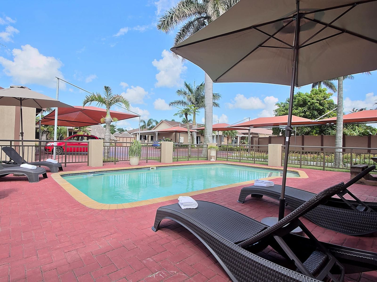 Gecko Inn Guesthouse, Palm Tree, Plant, Nature, Wood, Swimming Pool