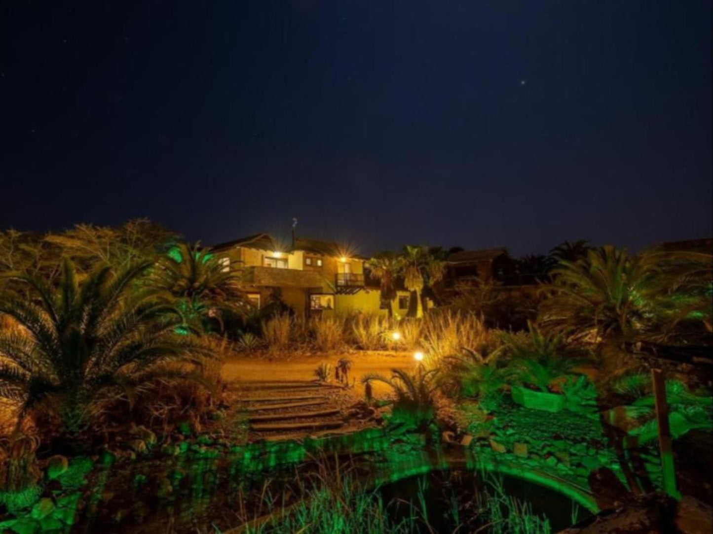 Gecko Ridge, Palm Tree, Plant, Nature, Wood