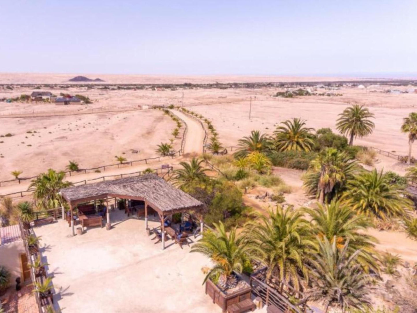 Gecko Ridge, Beach, Nature, Sand, Palm Tree, Plant, Wood, Desert