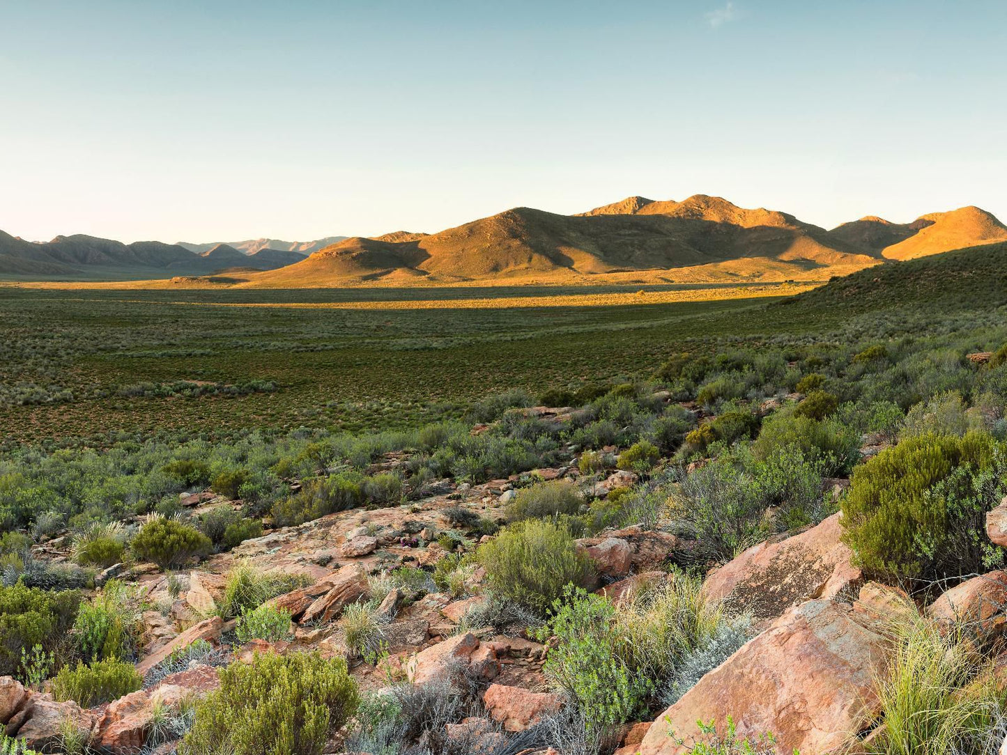 Gecko Rock Private Nature Reserve Touws River Western Cape South Africa Desert, Nature, Sand