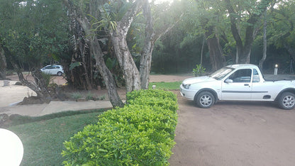 Gecko Backpackers Hazyview Mpumalanga South Africa Palm Tree, Plant, Nature, Wood, Tree, Car, Vehicle