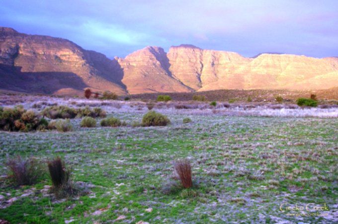 Gecko Creek Wilderness Lodge Cederberg Western Cape South Africa Complementary Colors, Cactus, Plant, Nature, Desert, Sand