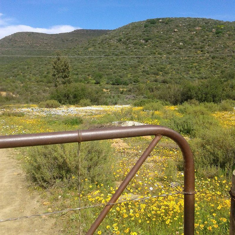 Gecko Creek Wilderness Lodge Cederberg Western Cape South Africa Cactus, Plant, Nature