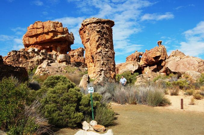 Gecko Creek Wilderness Lodge Cederberg Western Cape South Africa Complementary Colors, Colorful, Cactus, Plant, Nature, Canyon