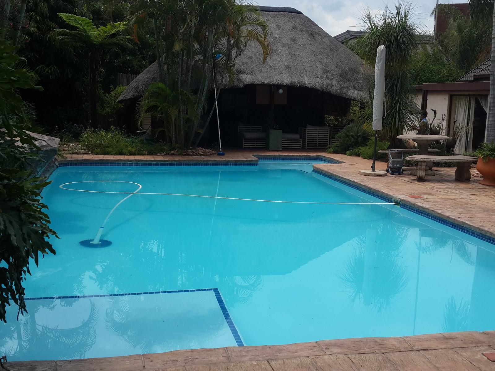Geelhout Guest House Bela Bela Warmbaths Limpopo Province South Africa Palm Tree, Plant, Nature, Wood, Swimming Pool