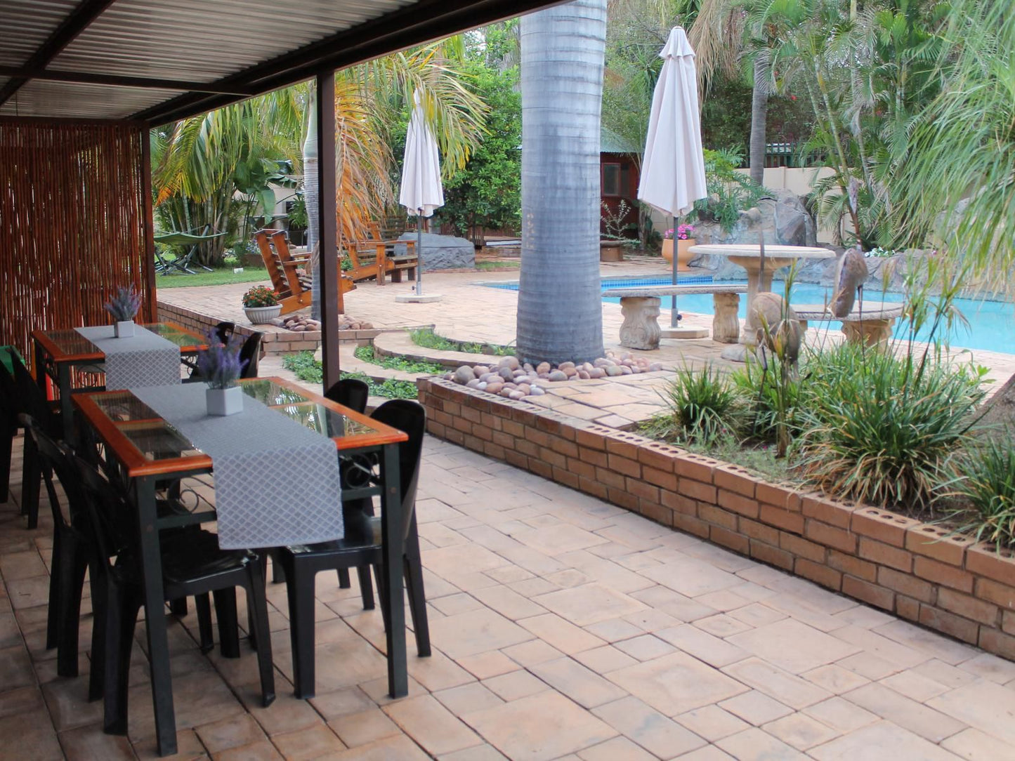 Geelhout Guest House Bela Bela Warmbaths Limpopo Province South Africa Palm Tree, Plant, Nature, Wood, Garden, Swimming Pool