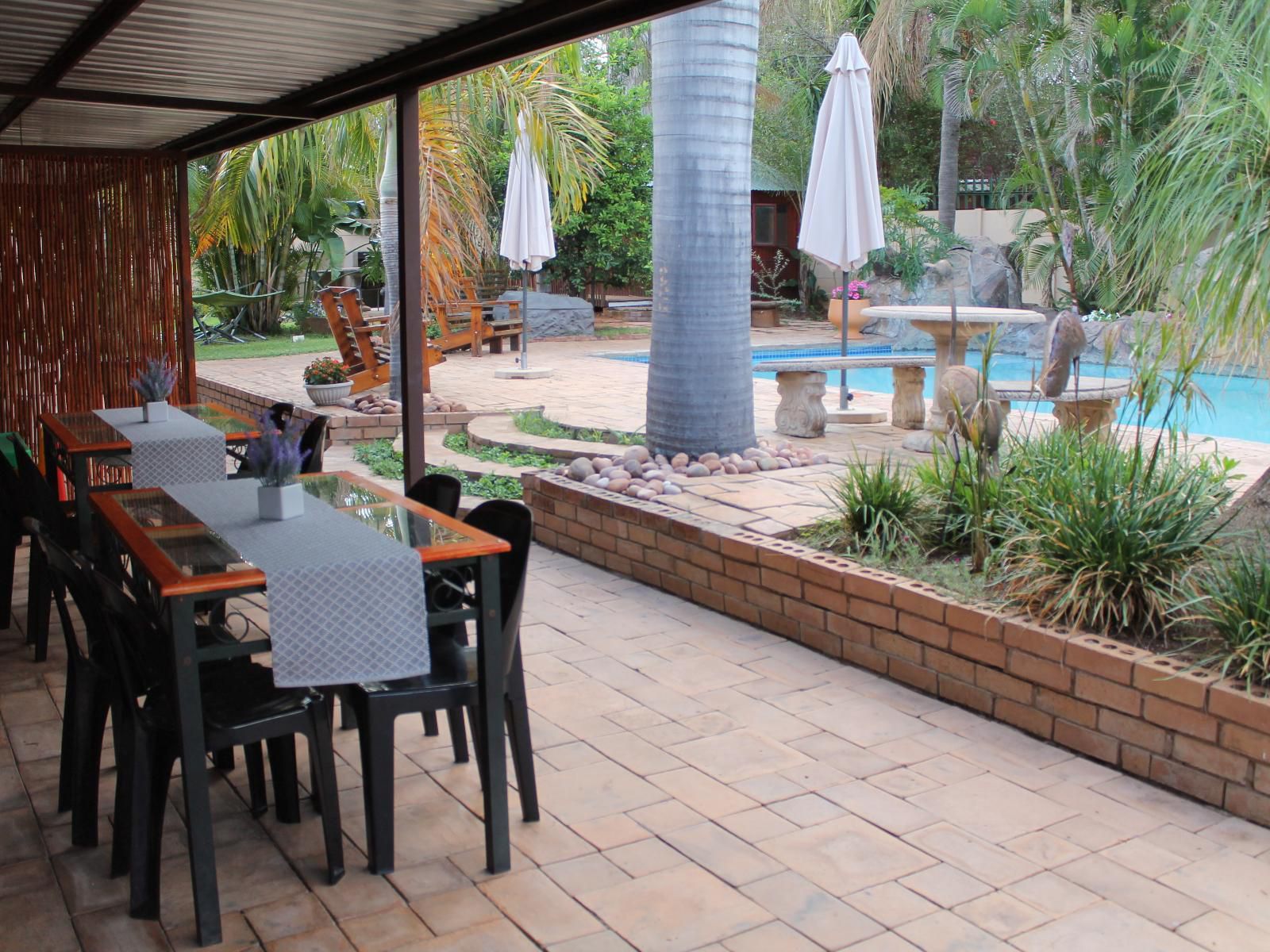 Geelhout Guest House Bela Bela Warmbaths Limpopo Province South Africa Palm Tree, Plant, Nature, Wood, Garden, Swimming Pool