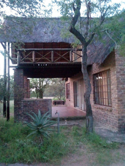 Geelvis Koppie Marloth Park Mpumalanga South Africa 