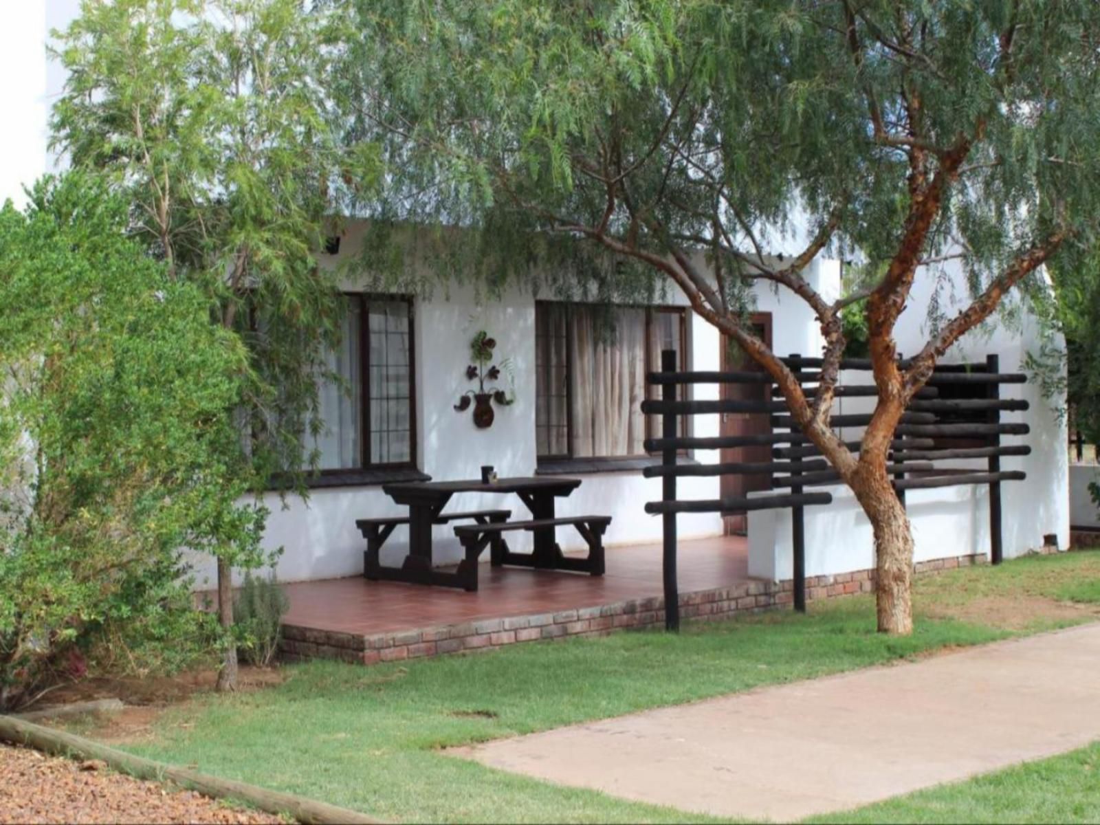 Geluksdam Guest House Olifantshoek Northern Cape South Africa Plant, Nature