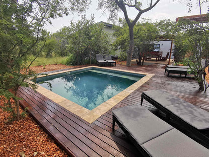 Gem In The Bush Lodge Hoedspruit Limpopo Province South Africa Garden, Nature, Plant, Swimming Pool