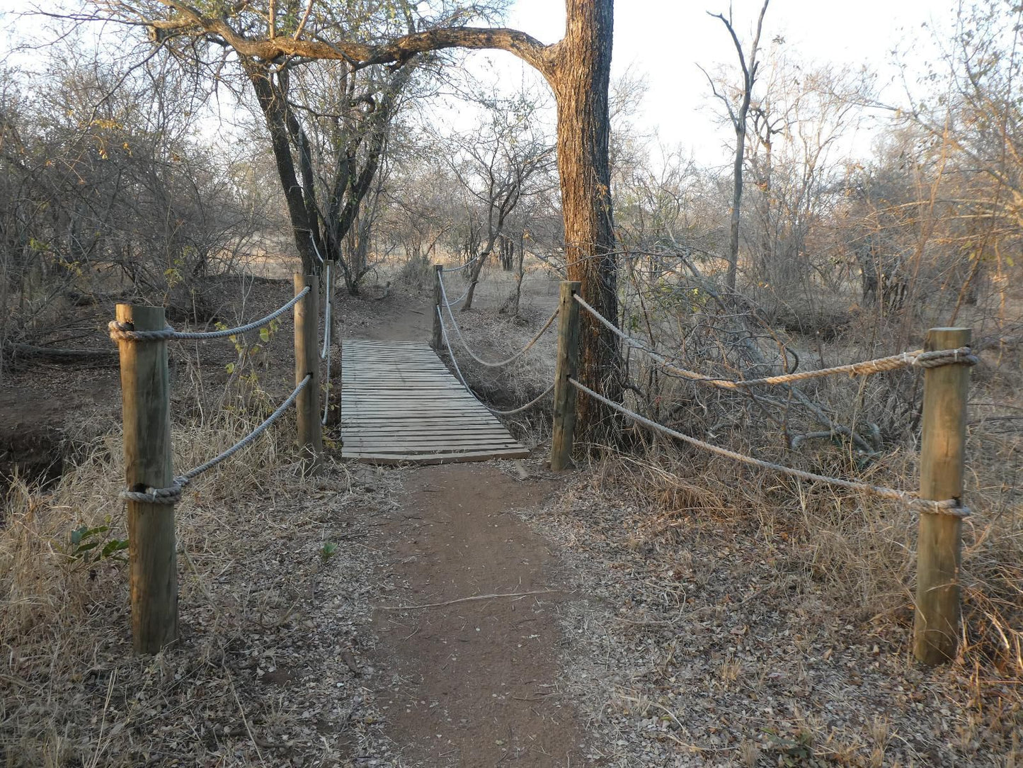 Gem In The Bush Lodge Hoedspruit Limpopo Province South Africa Unsaturated, Railroad, Tree, Plant, Nature, Wood