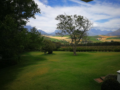 Gemoedsrus Farm Stellenbosch Western Cape South Africa Mountain, Nature, Plant, Tree, Wood, Framing, Highland