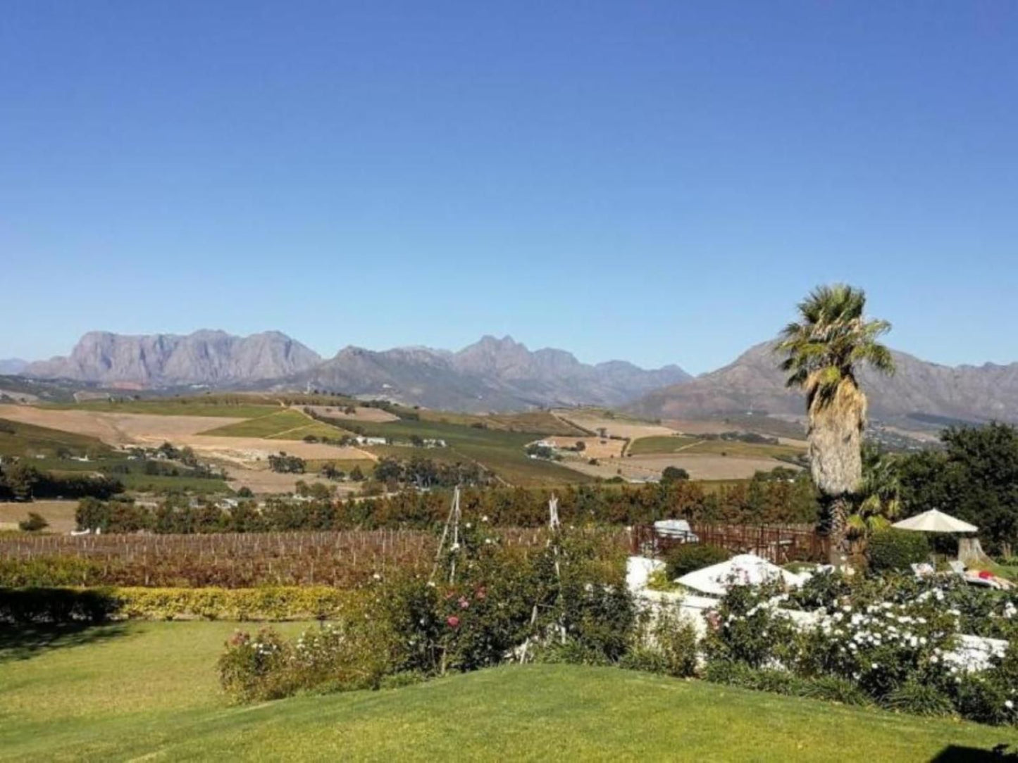 Gemoedsrus Farm Stellenbosch Western Cape South Africa Complementary Colors, Nature