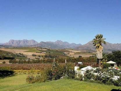 Gemoedsrus Farm Stellenbosch Western Cape South Africa Complementary Colors, Nature