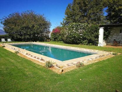 Gemoedsrus Farm Stellenbosch Western Cape South Africa Complementary Colors, Garden, Nature, Plant, Swimming Pool