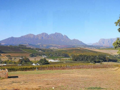 Gemoedsrus Farm Stellenbosch Western Cape South Africa Complementary Colors, Mountain, Nature