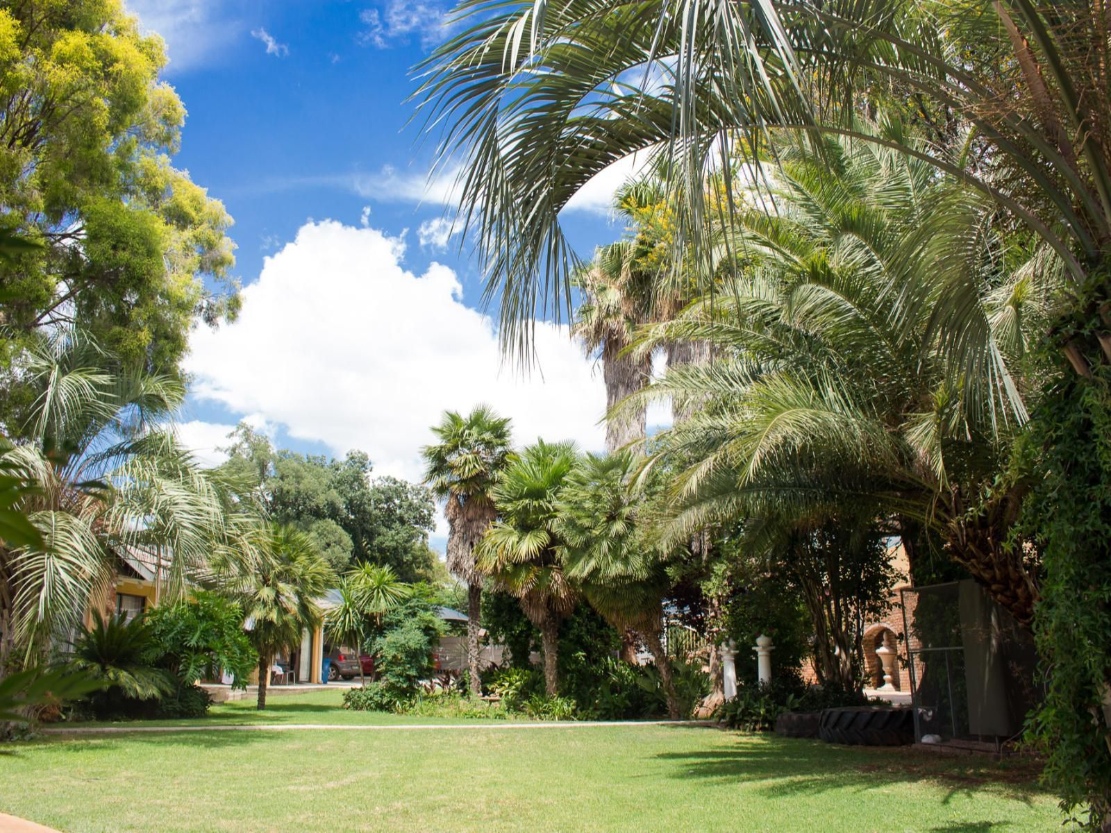 Gemstone Guest House Klerksdorp North West Province South Africa Palm Tree, Plant, Nature, Wood