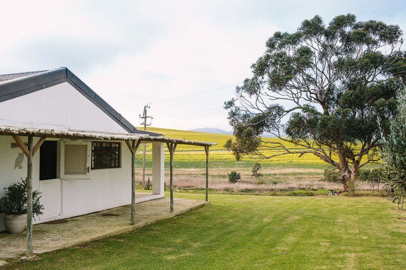 Genevieve Mcc At Klein Botrivier Farm Cottages Bot River Western Cape South Africa 