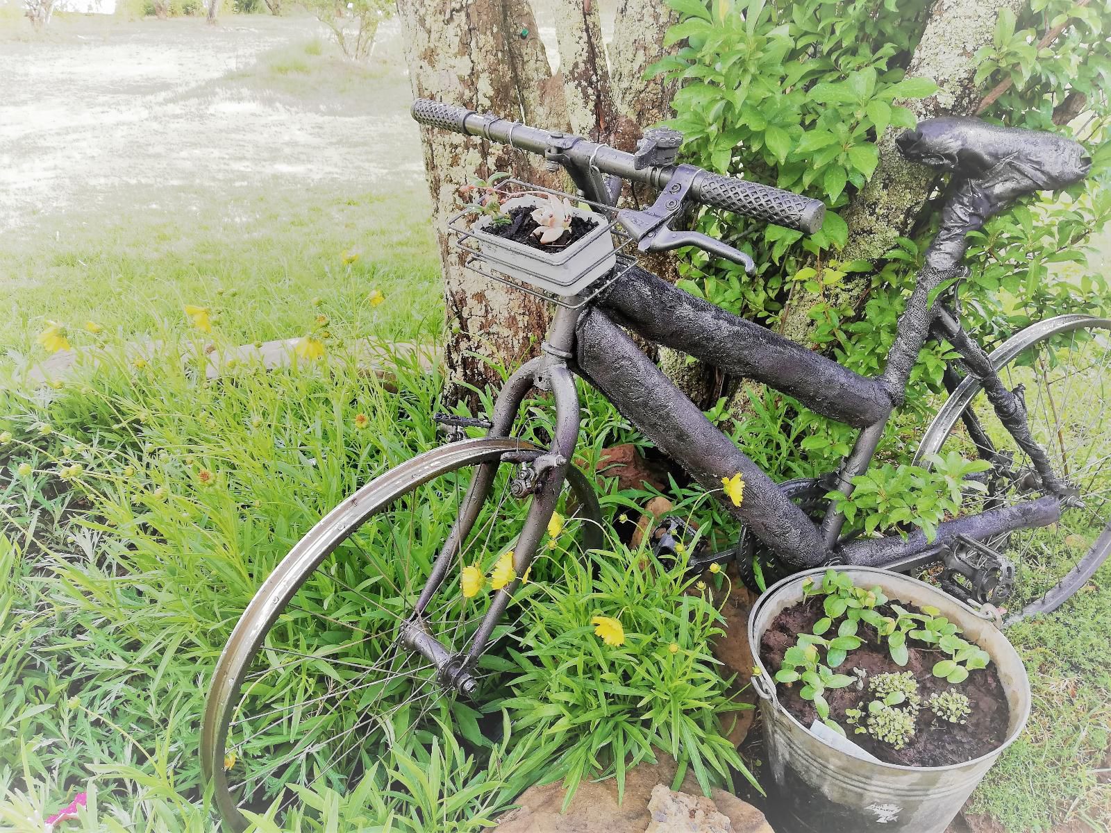 Gentle Presence Clarens Free State South Africa Bicycle, Vehicle