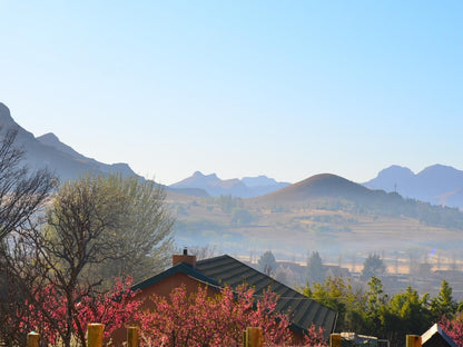 Gentle Presence Clarens Free State South Africa Mountain, Nature