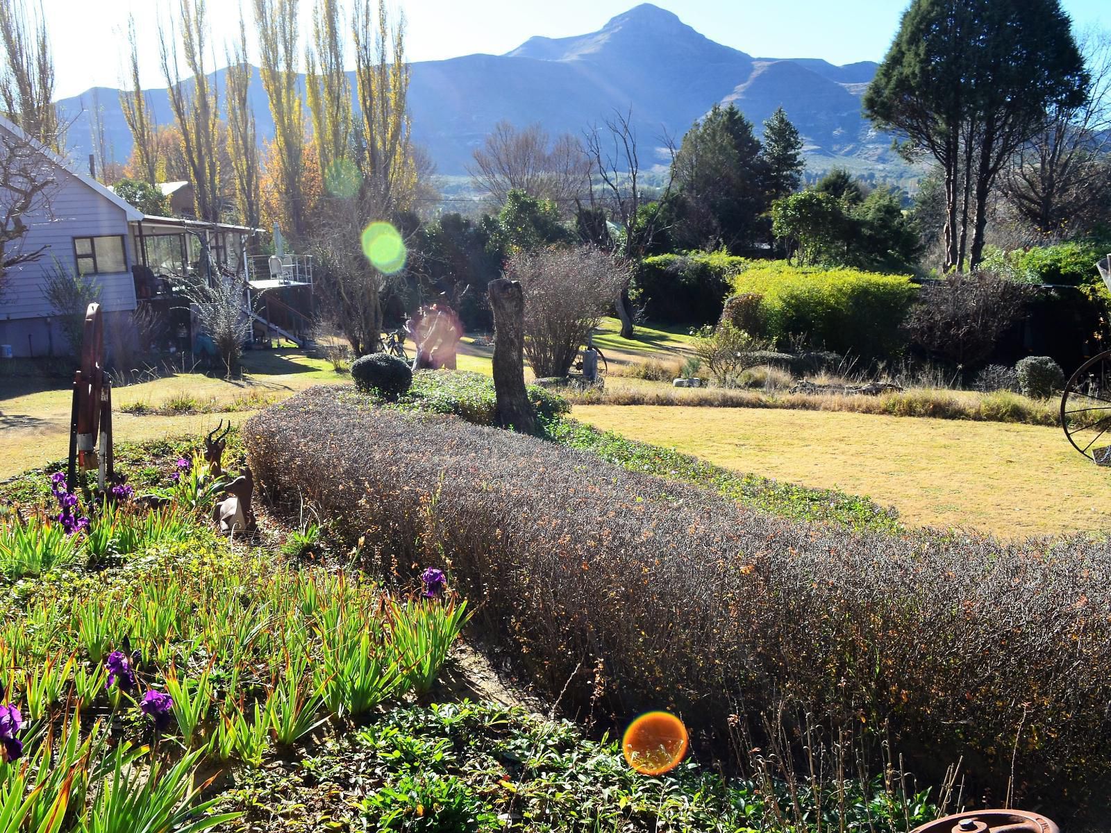 Gentle Presence Clarens Free State South Africa Plant, Nature, Garden