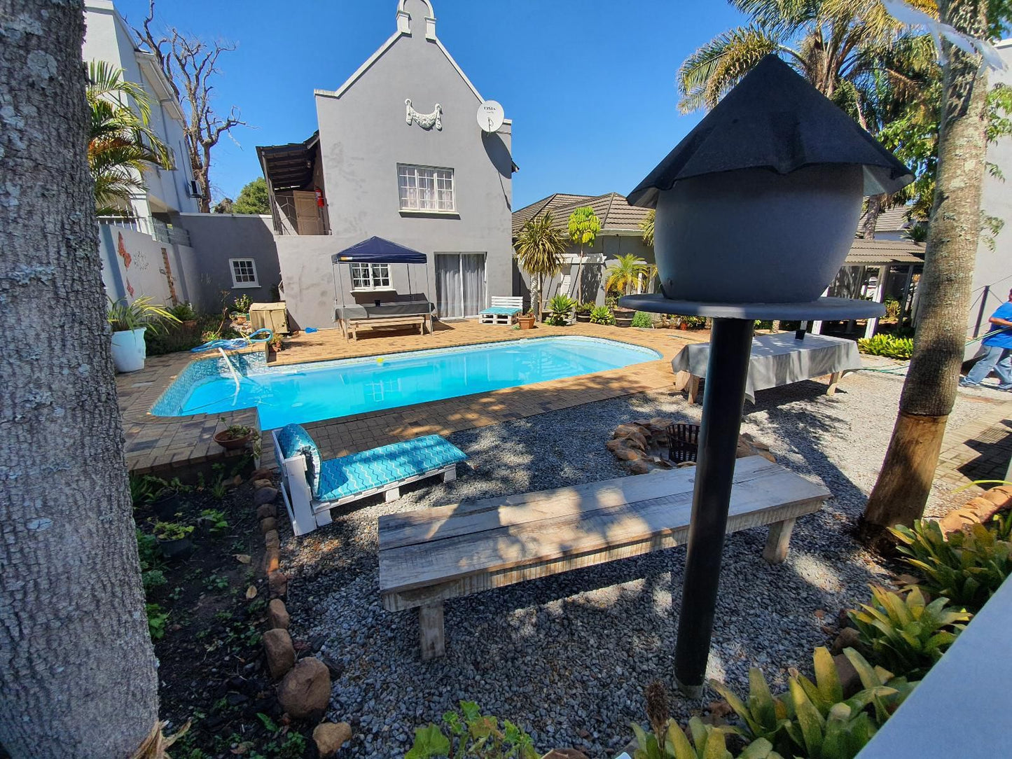 George Lodge International Camphers Drift George Western Cape South Africa House, Building, Architecture, Palm Tree, Plant, Nature, Wood, Garden, Swimming Pool