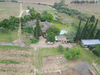 Gerald S Gift Guest House Sunland Eastern Cape South Africa Tree, Plant, Nature, Wood, Aerial Photography