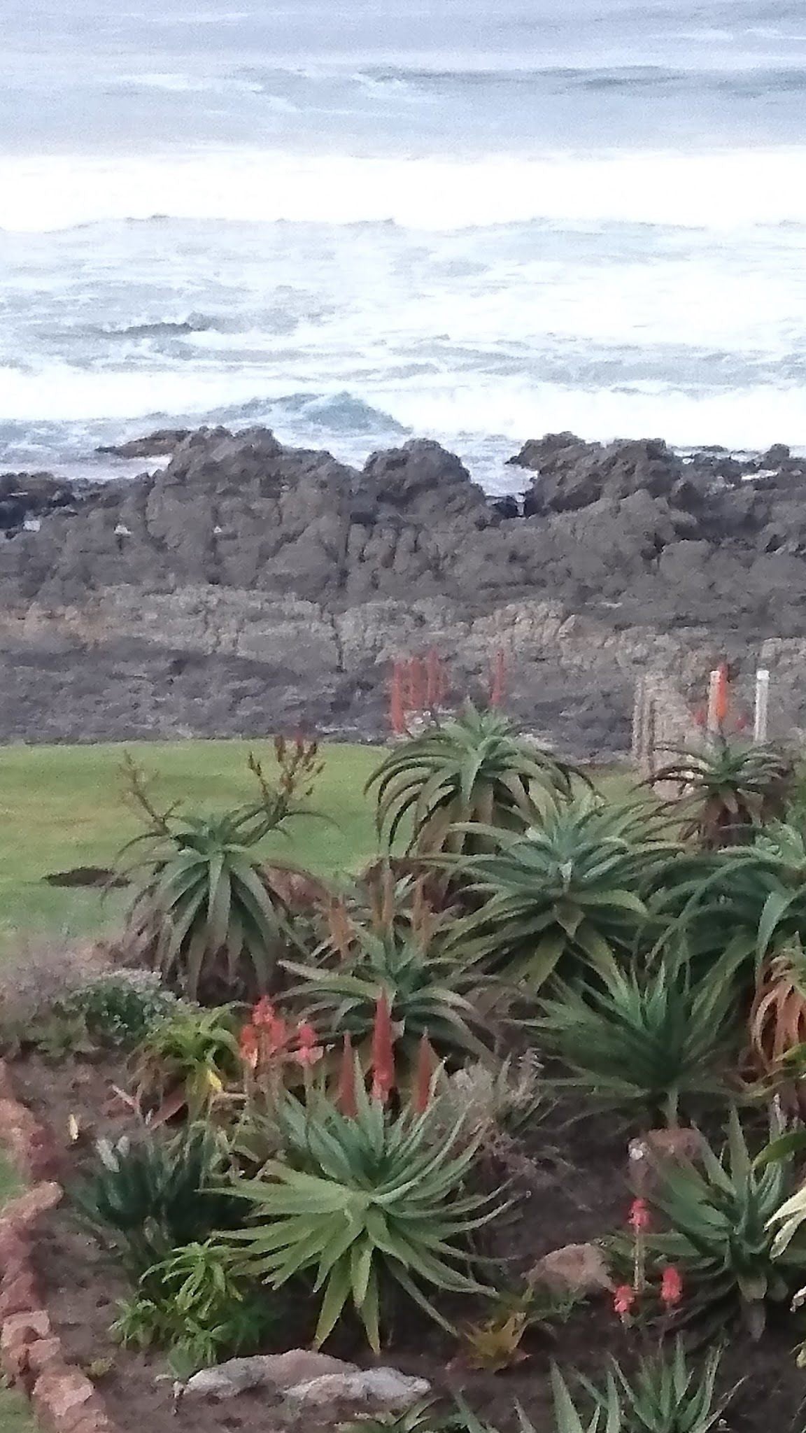 German Bay Lodge Gonubie East London Eastern Cape South Africa Beach, Nature, Sand, Cliff, Palm Tree, Plant, Wood, Ocean, Waters