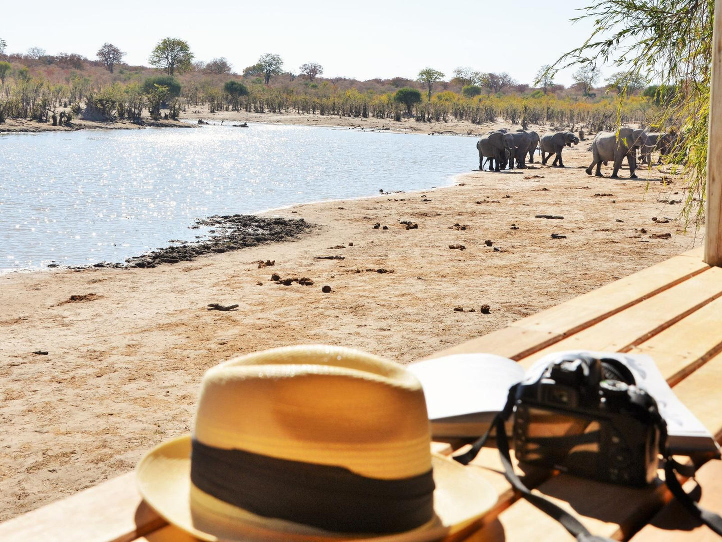 Ghoha Hills Savuti Lodge, Beach, Nature, Sand, Animal