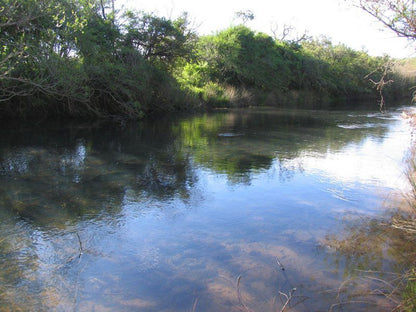 Giant S View Village Rosetta Kwazulu Natal South Africa River, Nature, Waters, Tree, Plant, Wood