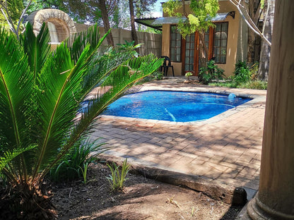 Giardino 194 Welkom Free State South Africa Palm Tree, Plant, Nature, Wood, Garden, Swimming Pool