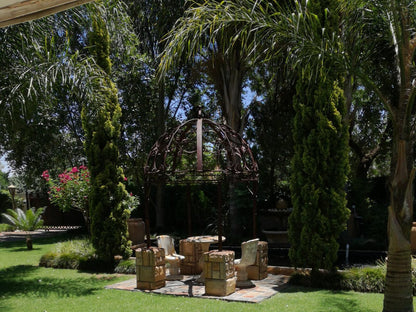 Giardino 194 Welkom Free State South Africa Palm Tree, Plant, Nature, Wood, Garden