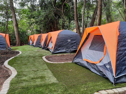 Glamping Dome Tent 2 Sleeper @ Gibaland