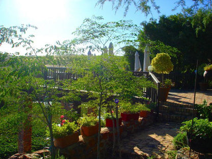 Gifberg Holiday Farm Vanrhynsdorp Western Cape South Africa Plant, Nature, Garden