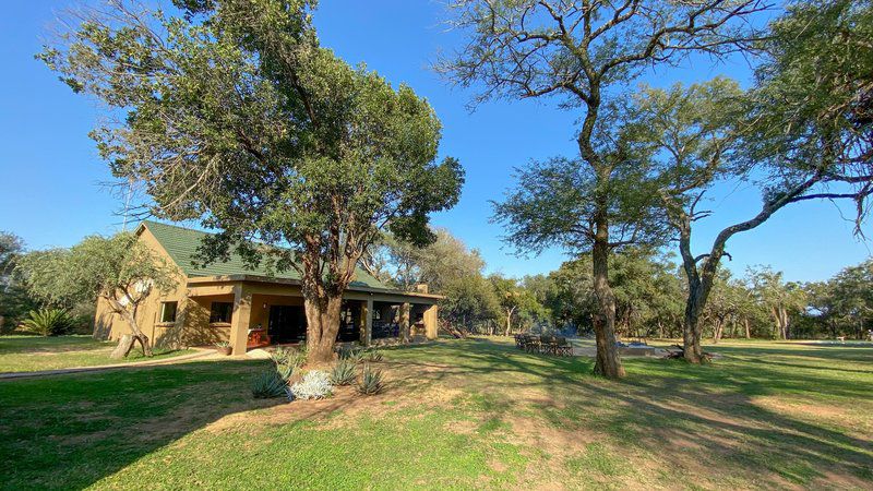 Giraffe Camp Hoedspruit Limpopo Province South Africa Complementary Colors, House, Building, Architecture, Palm Tree, Plant, Nature, Wood