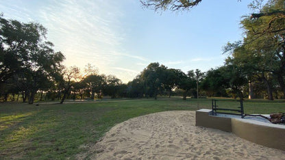 Giraffe Camp Hoedspruit Limpopo Province South Africa Beach, Nature, Sand, Ball Game, Sport