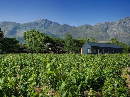 Gite Franschhoek Western Cape South Africa Complementary Colors, Field, Nature, Agriculture, Mountain, Highland