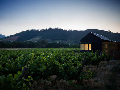 Gite Franschhoek Western Cape South Africa Barn, Building, Architecture, Agriculture, Wood, Food