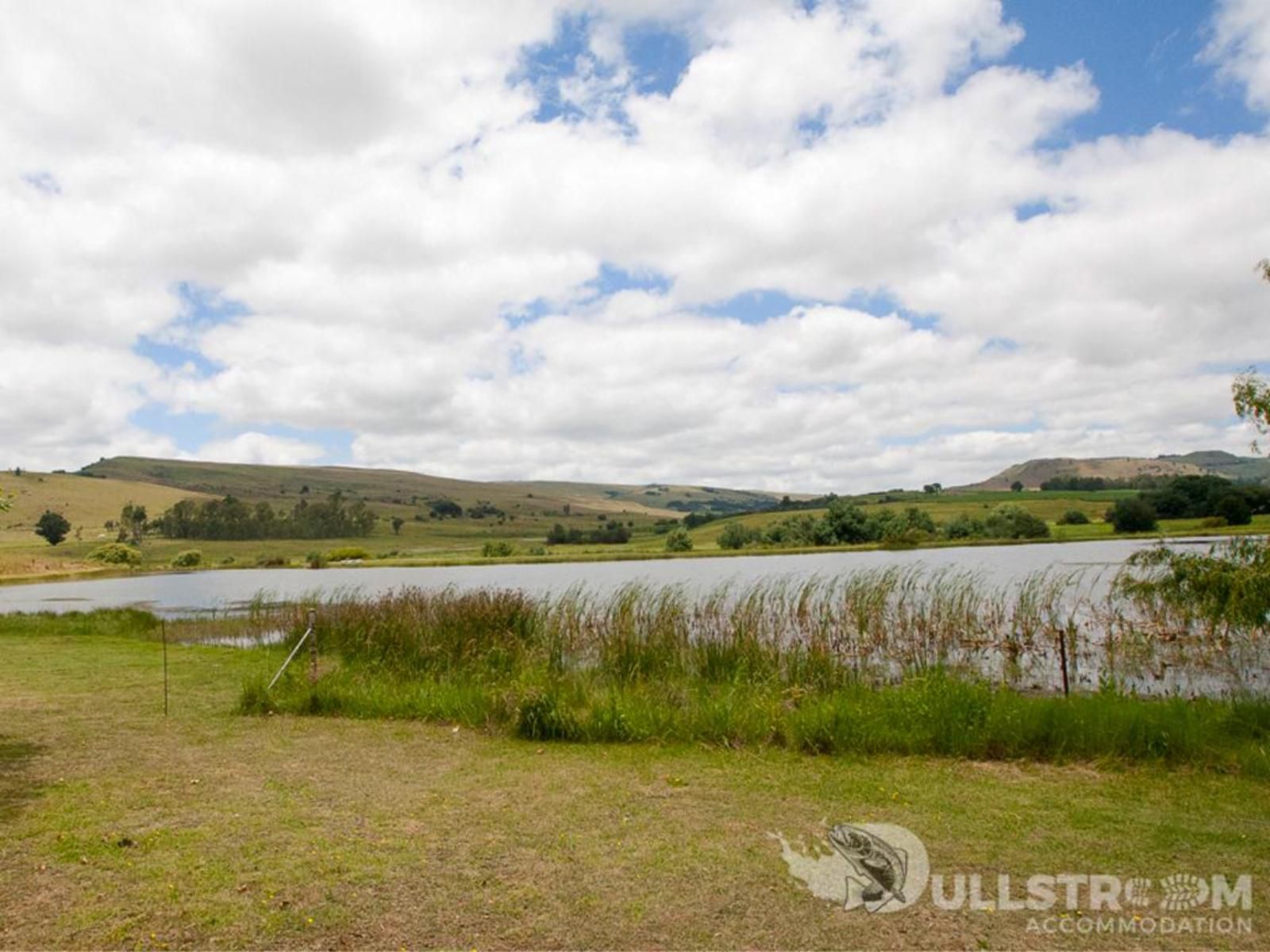 Glen Aden Dullstroom Mpumalanga South Africa Highland, Nature