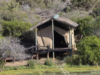 Glen Boyd Game Reserve Grahamstown Eastern Cape South Africa River, Nature, Waters