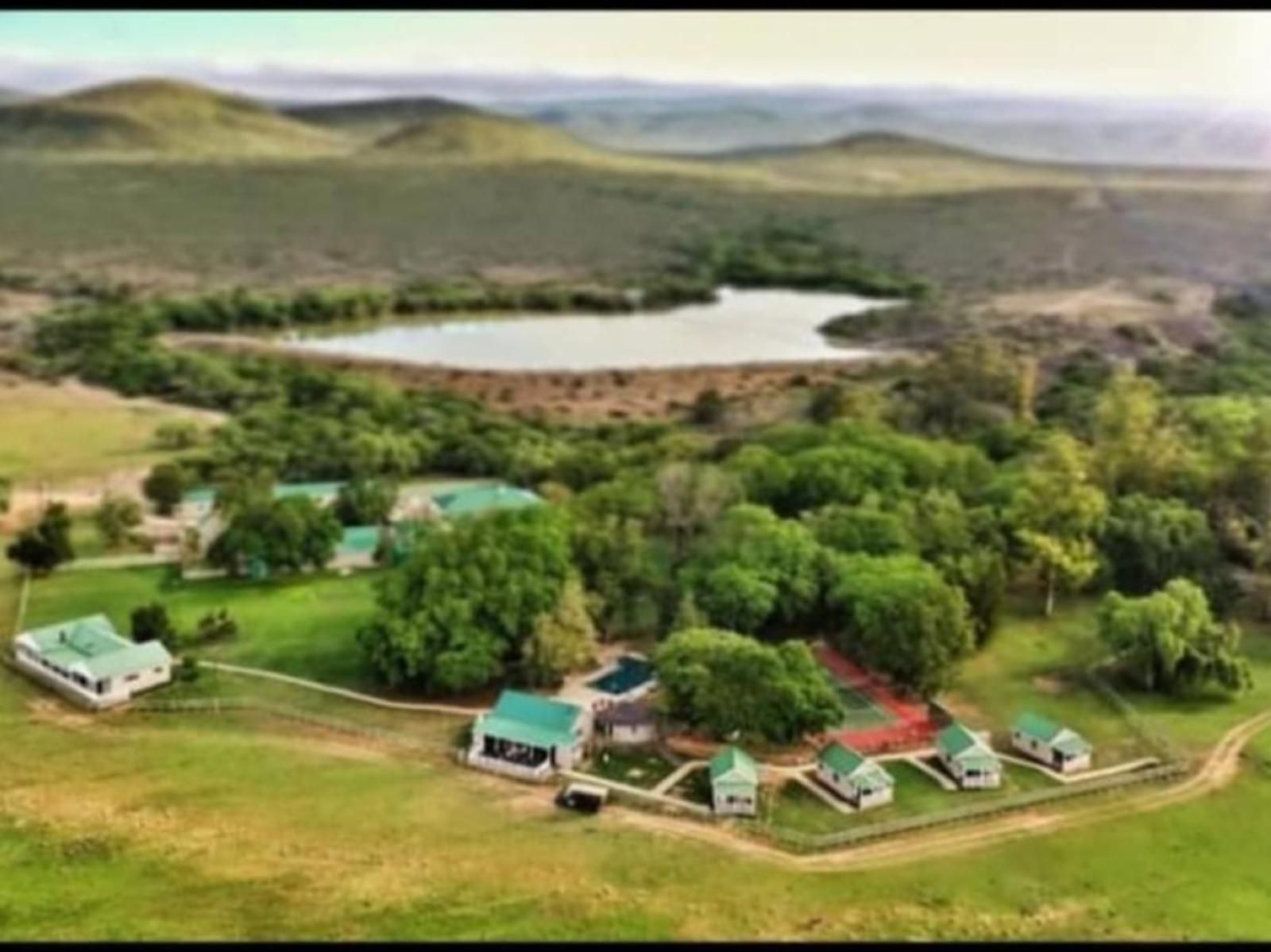 Glen Boyd Game Reserve Grahamstown Eastern Cape South Africa Highland, Nature