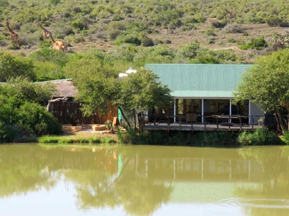 Glen Boyd Game Reserve Grahamstown Eastern Cape South Africa Lake, Nature, Waters, River