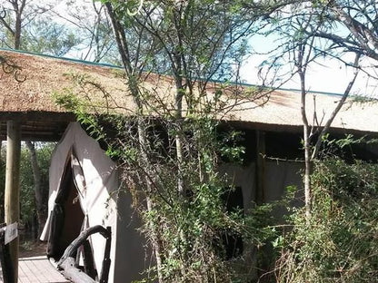 Glen Boyd Game Reserve Grahamstown Eastern Cape South Africa Building, Architecture, Ruin, Window