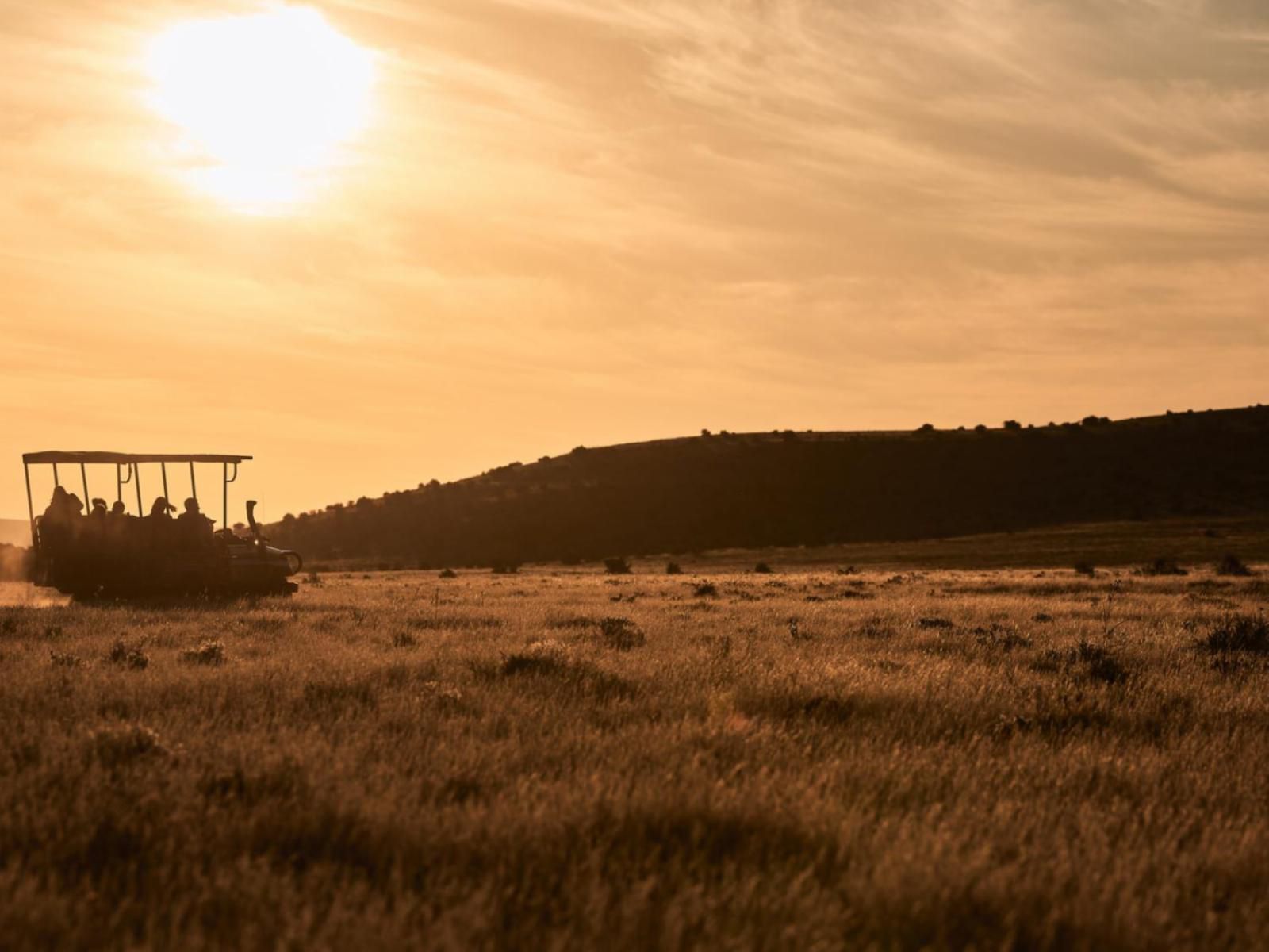 Glen Harry Game Reserve Graaff Reinet Eastern Cape South Africa Sepia Tones, Field, Nature, Agriculture, Sky, Tractor, Vehicle, Lowland, Sunset