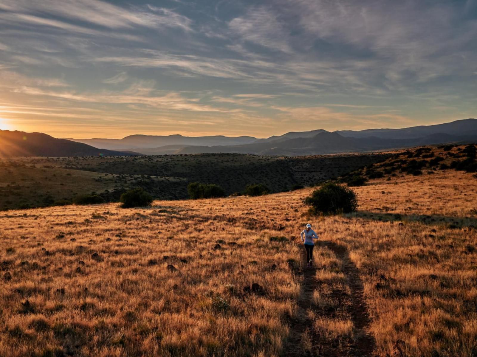 Glen Harry Game Reserve Graaff Reinet Eastern Cape South Africa Nature