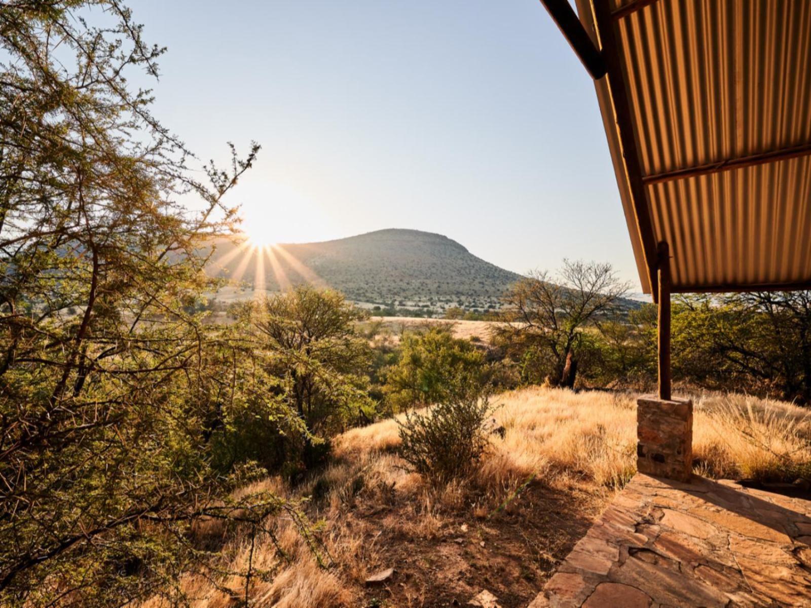 Glen Harry Game Reserve Graaff Reinet Eastern Cape South Africa 