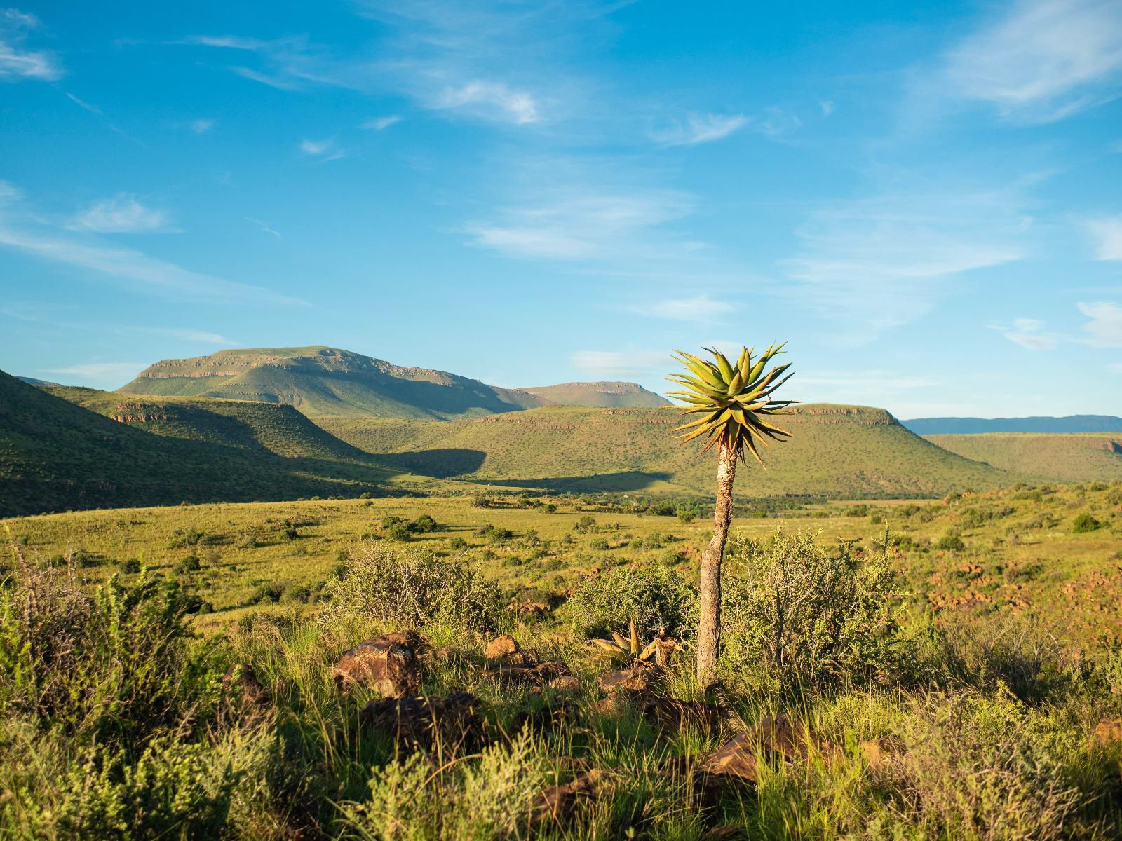 Glen Harry Game Reserve Graaff Reinet Eastern Cape South Africa Complementary Colors, Colorful, Nature