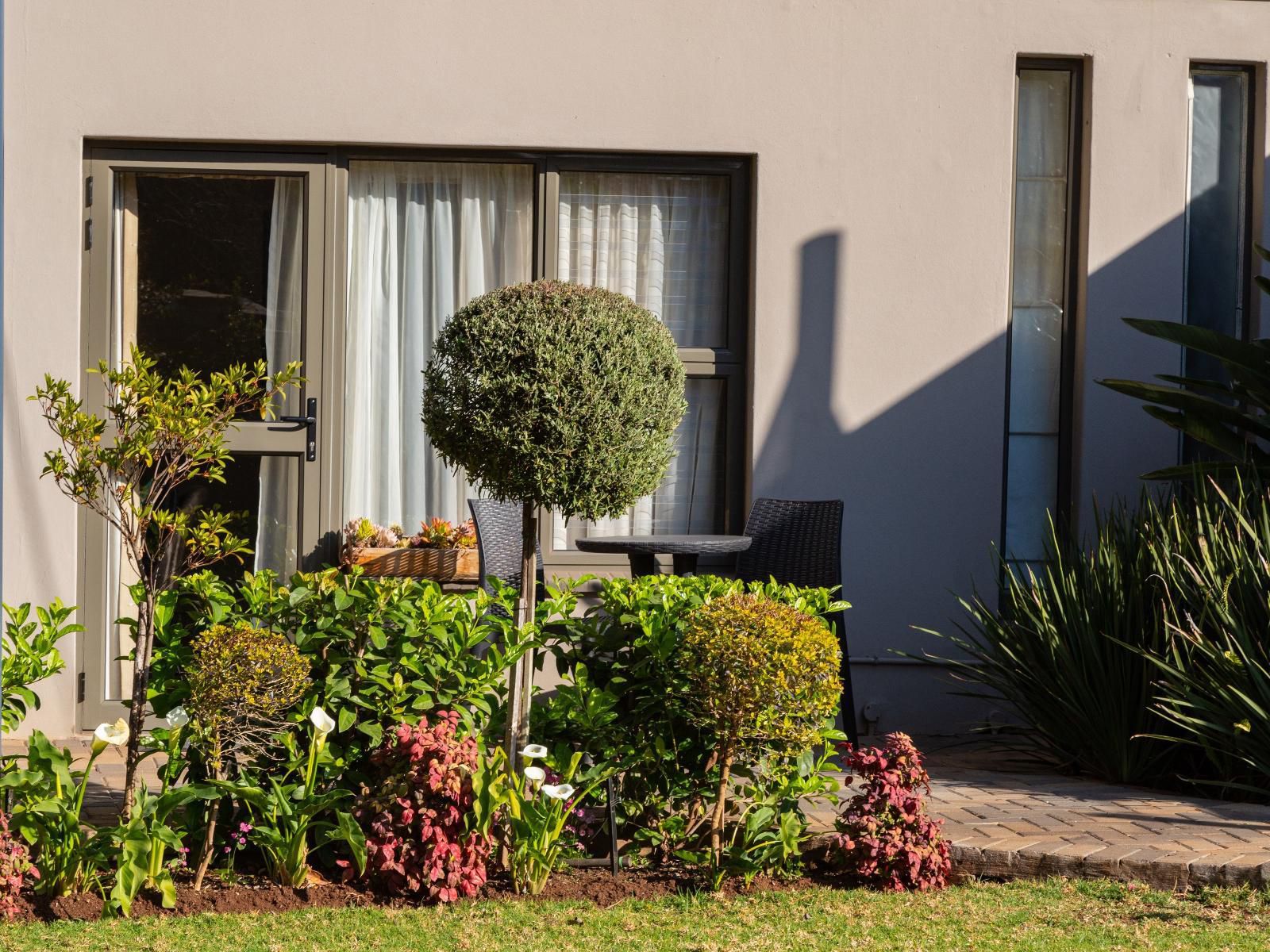 Glen Maine Guest House, House, Building, Architecture, Palm Tree, Plant, Nature, Wood, Garden